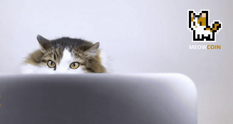 Cover image for Development Highligths: PawPrint and Empawrium