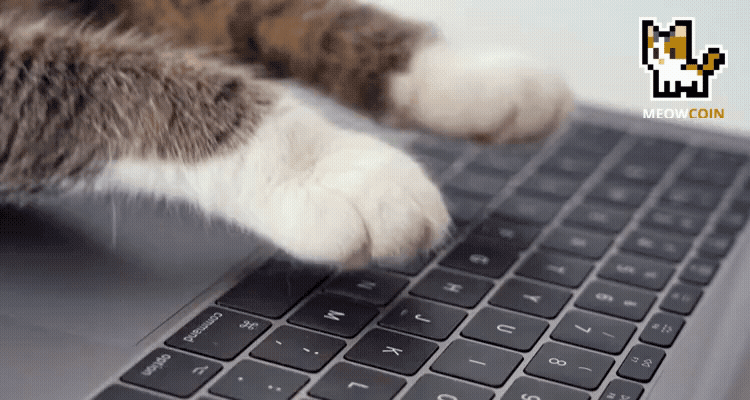 Cover image for The Launch of the Meowcoin Blog: Crypto and Animal Welfare Unite